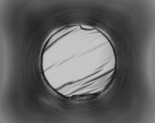 X0000082950949200703020146