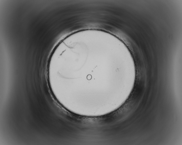 X0000082950950200703020146