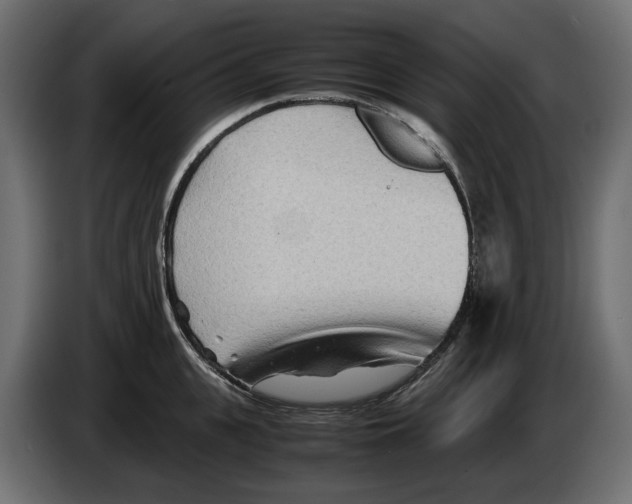 X0000082950951200703020146