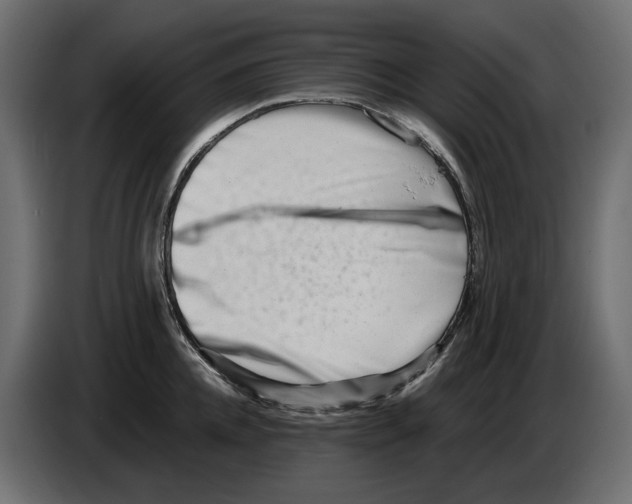 X0000082950952200703020146