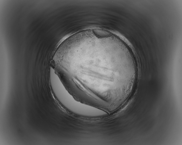 X0000082950953200703020146