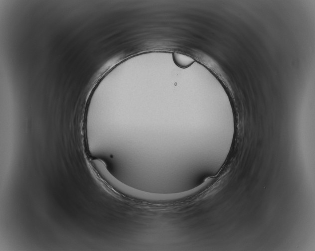 X0000082950954200703020146