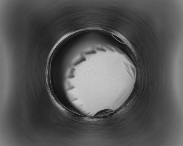 X0000082950955200703020146