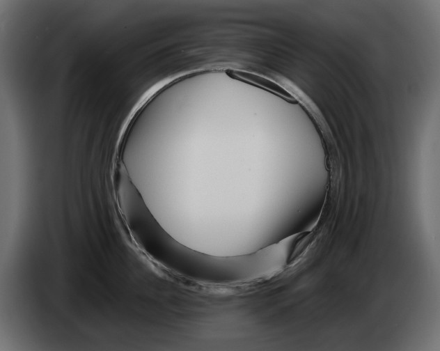 X0000082950956200703020146