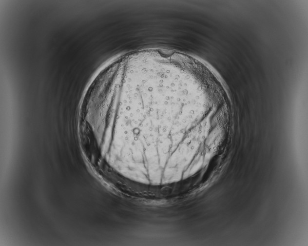 X0000082950957200703020146