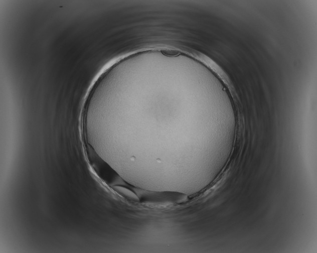 X0000082950958200703020146