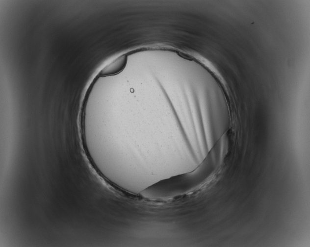 X0000082950959200703020146