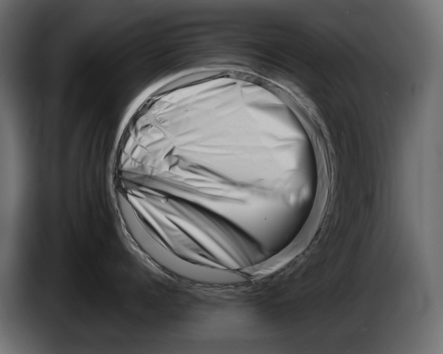 X0000082950960200703020147