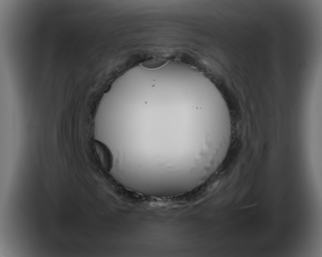 X0000082950961200703020146