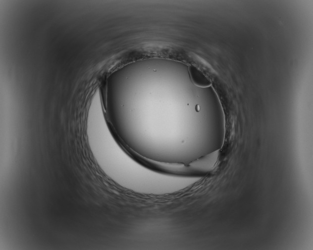 X0000082950965200703020146