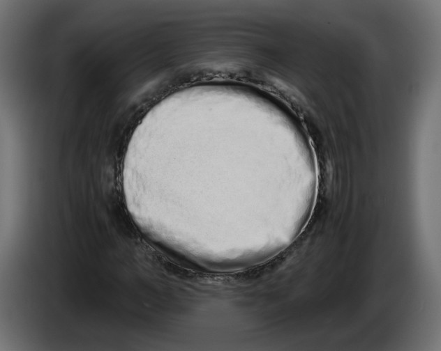 X0000082950966200703020146