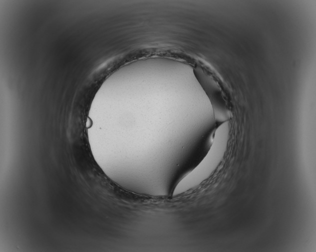 X0000082950967200703020146