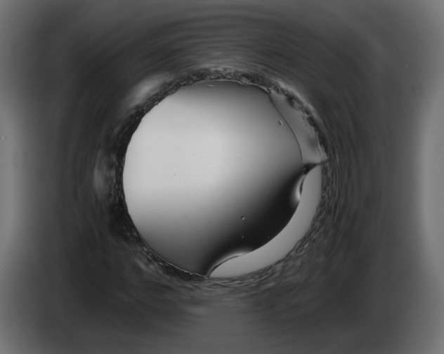 X0000082950968200703020146