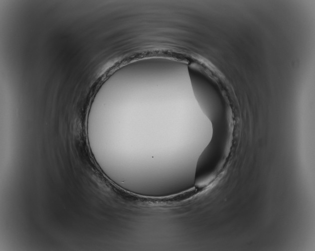 X0000082950969200703020146