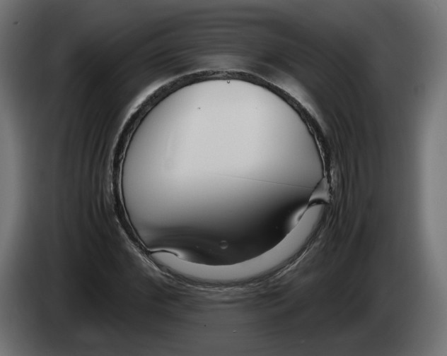 X0000082950972200703020145