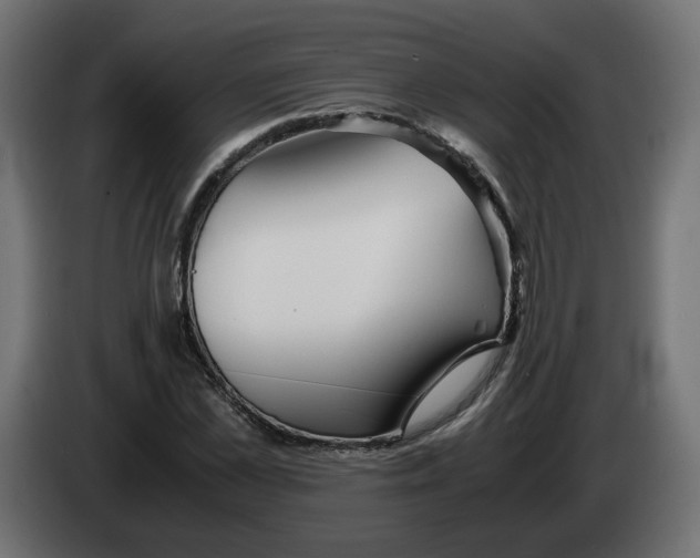 X0000082950973200703020145