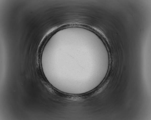 X0000082950974200703020145