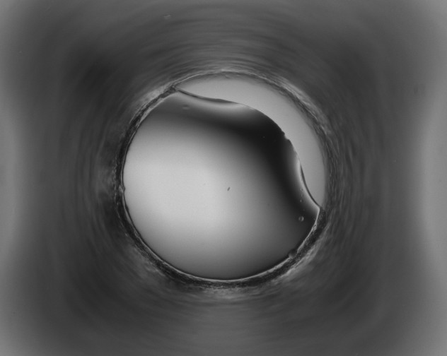 X0000082950977200703020145