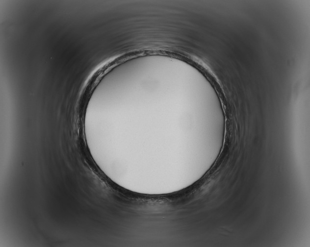 X0000082950979200703020145