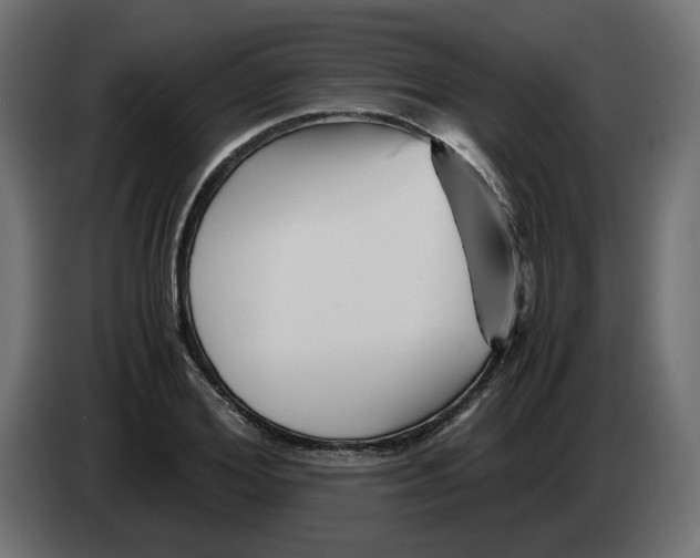 X0000082950980200703020145