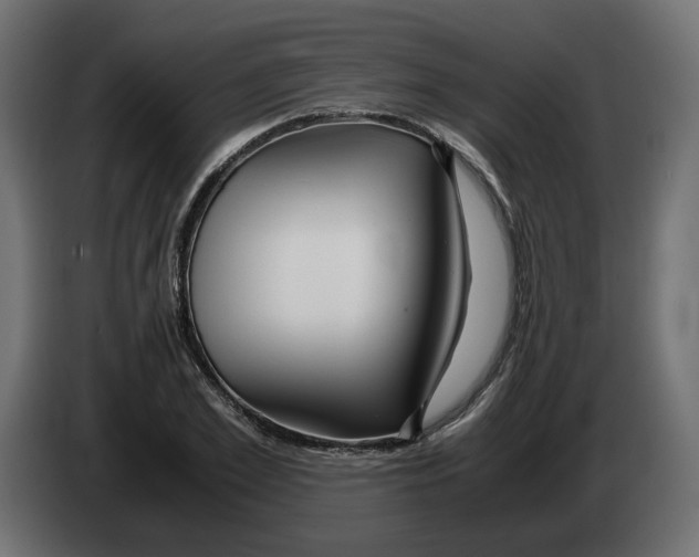 X0000082950981200703020145