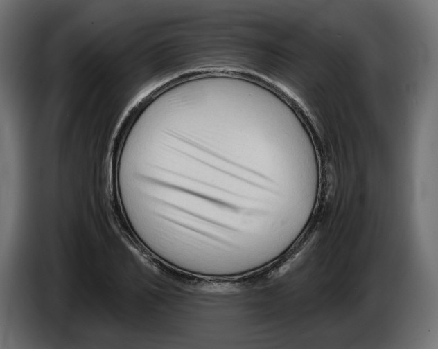 X0000082950982200703020145