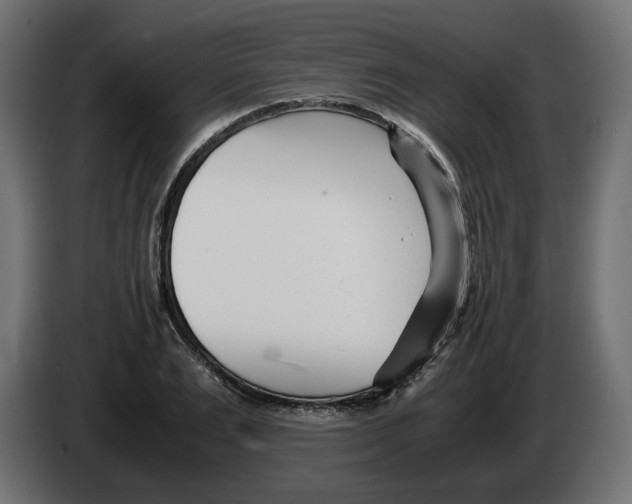 X0000082950983200703020145