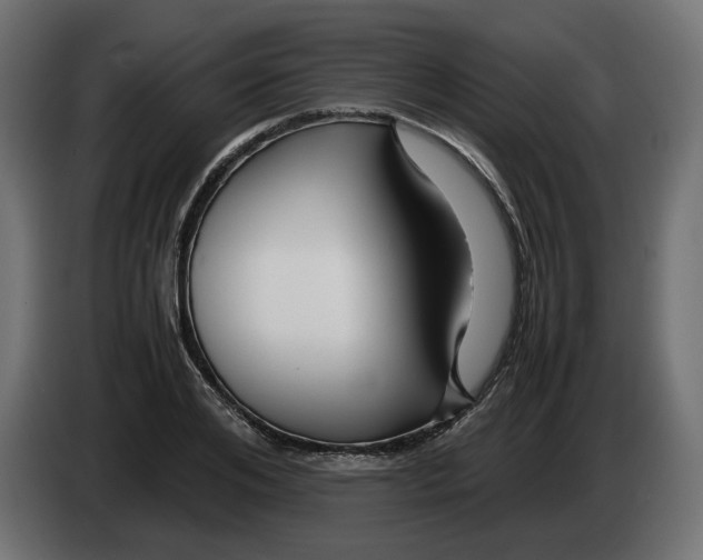 X0000082950984200703020145