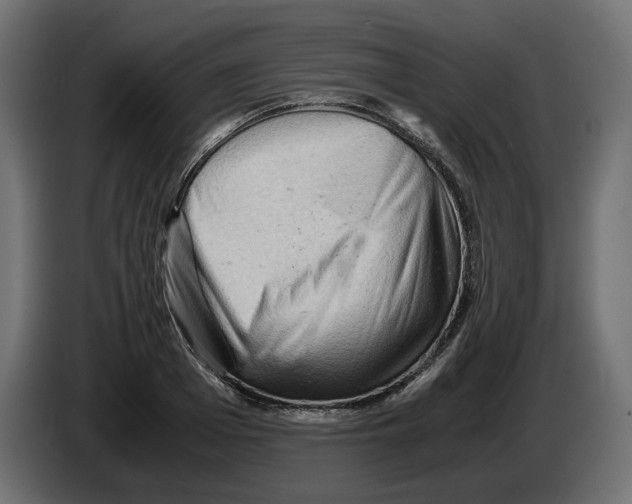 X0000082950985200703020145