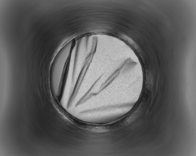 X0000082950986200703020145