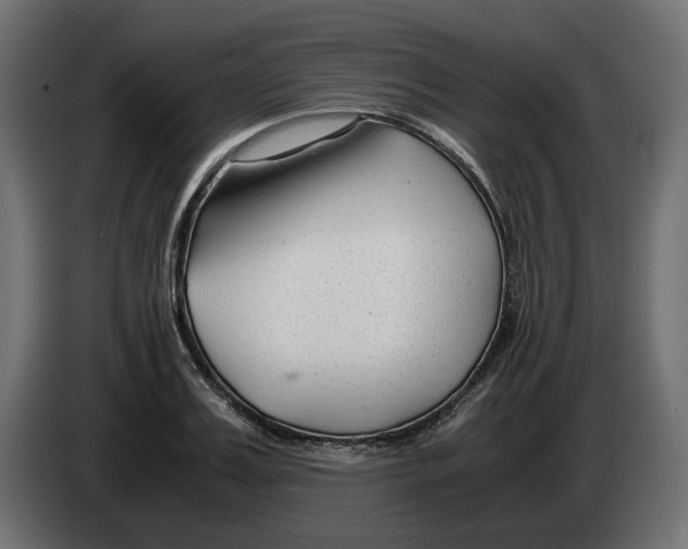 X0000082950987200703020145