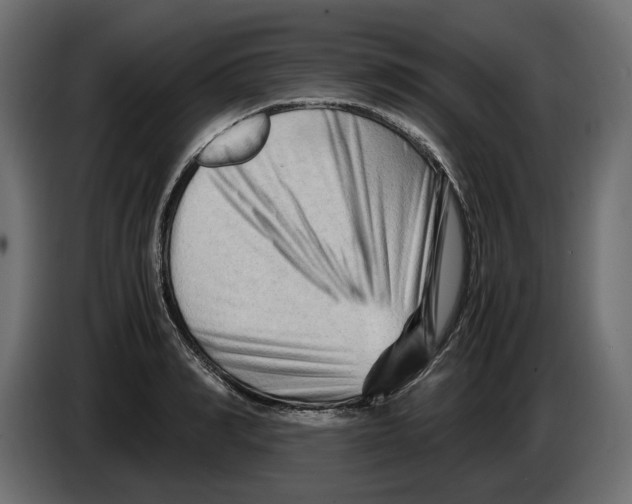 X0000082950990200703020145