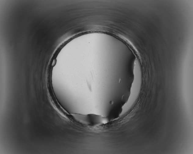 X0000082950991200703020145