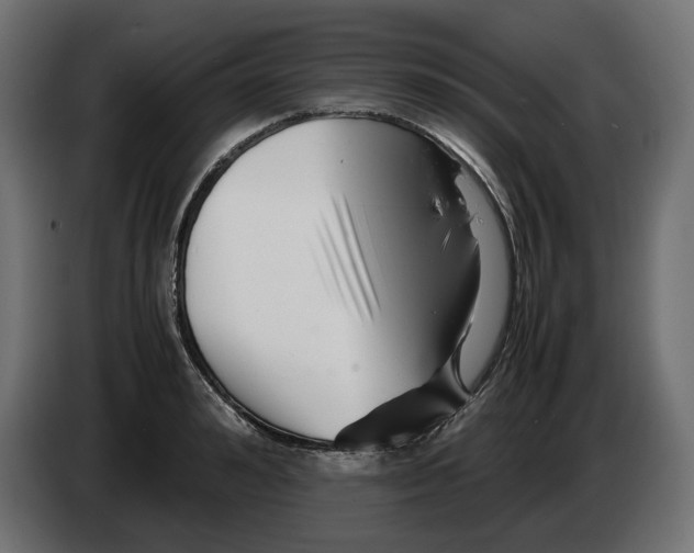 X0000082950992200703020145