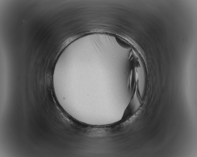 X0000082950993200703020145