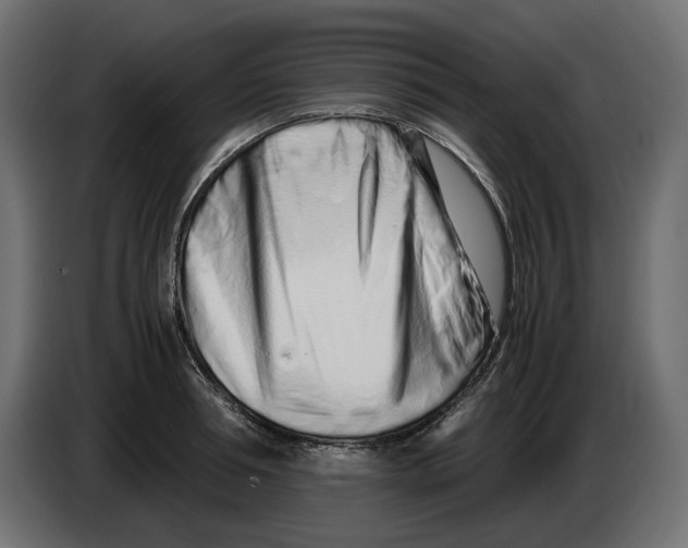 X0000082950994200703020145