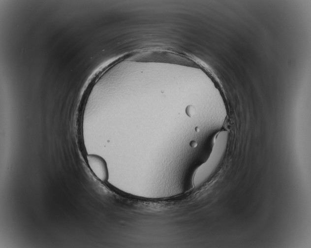 X0000082950995200703020145