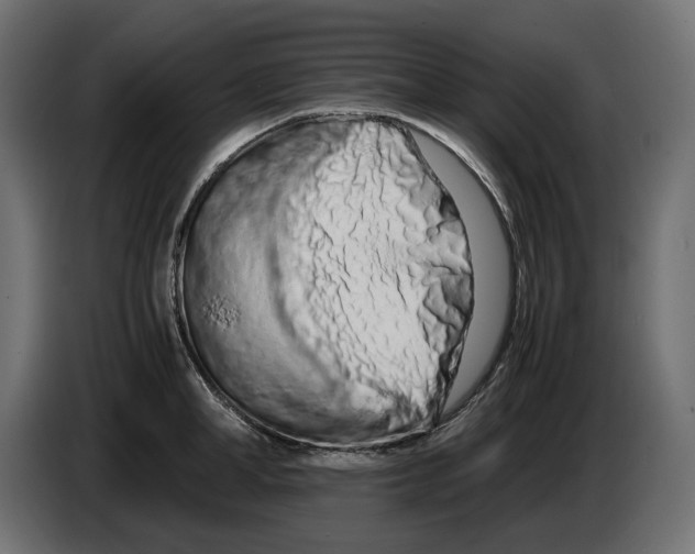 X0000082950998200703020145