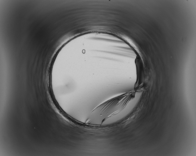 X0000082950999200703020145