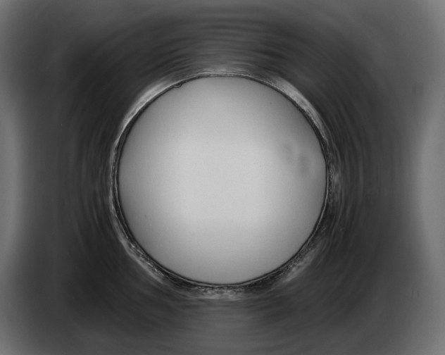 X0000082951002200703020145