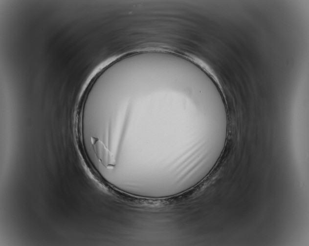 X0000082951003200703020145