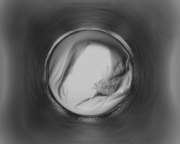 X0000082951004200703020145