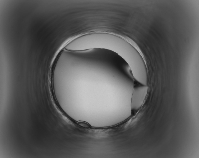 X0000082951005200703020145