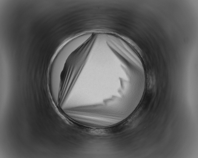 X0000082951006200703020145