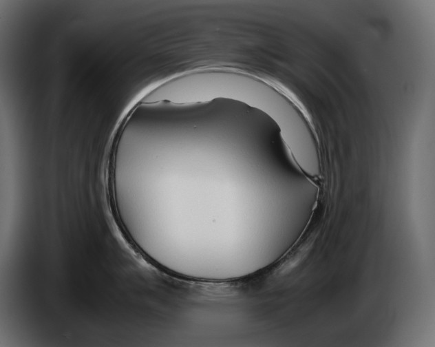 X0000082951007200703020145