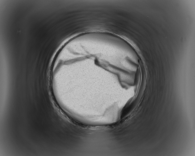 X0000082951008200703020145