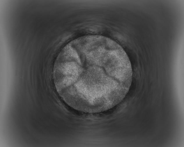 X0000082951009200703020144