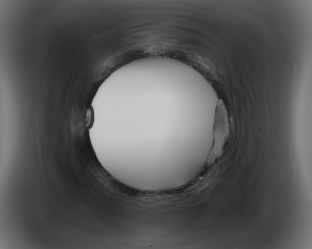 X0000082951012200703020144