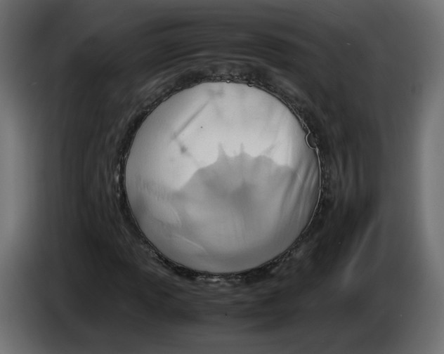 X0000082951013200703020144