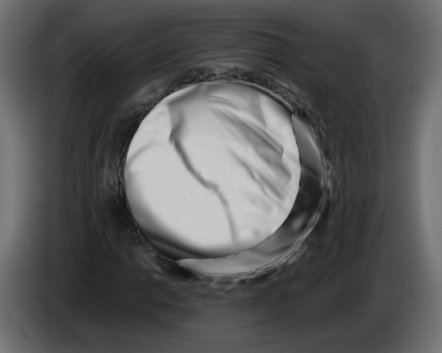 X0000082951014200703020144